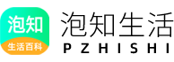 pzhishi.com logo
