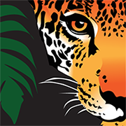 rainforesttrust.org favicon