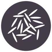 reishunger.de favicon