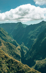 Île de la Réunion Tourisme logo