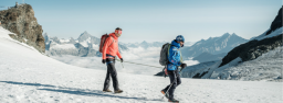 Riffelalp Resort logo