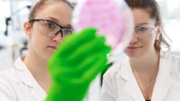 Roche logo