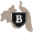 royalsavoylausanne.com favicon