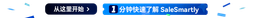 SaleSmartly logo