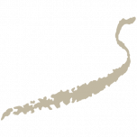 sandoz-hotels.ch favicon