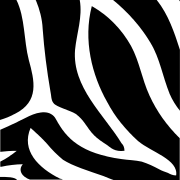 sauconystore.cz favicon