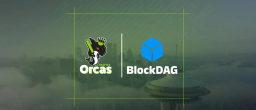 seattleorcas.com logo