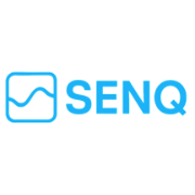 senq-cyber.com favicon