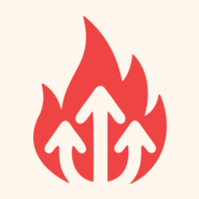 seoroast.co favicon