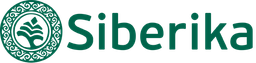 SIA “LD Stels” logo