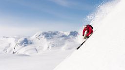 SkiStar logo