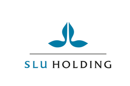 SLU Holding logo
