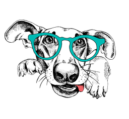 Straydog Branding logo