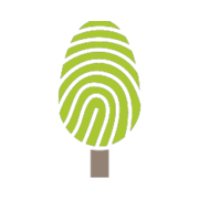 stromroku.cz favicon