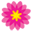 sumairafoundation.org favicon