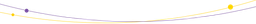 swan.sk logo