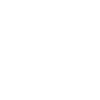 swarovskioptik.com favicon