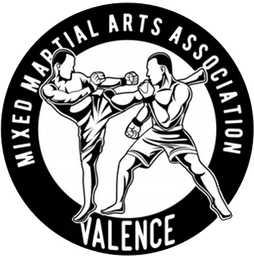 Team WILL logo