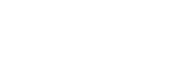 Team 1 Sports logo