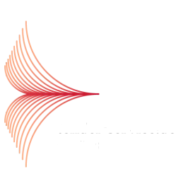 Tender Service Deutschland logo