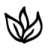 terragaia.eu favicon