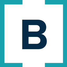 thebranditagency.com favicon