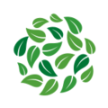 topvet.cz favicon