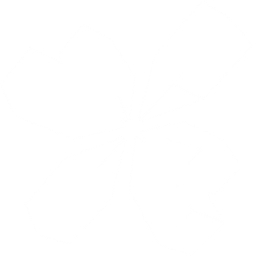 Tradedoubler logo