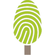 treeoftheyear.org favicon