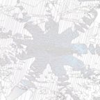 uppergrounds.com favicon