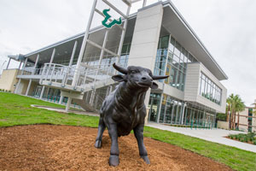 University of South Florida logo