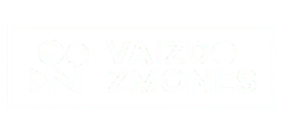 Vaizdozmones.lt logo