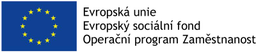 valasskemezirici.cz logo