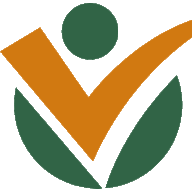 valemo.fr favicon