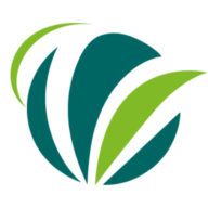 valorem-energie.com favicon