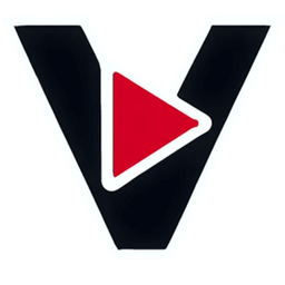 Veo3Video logo