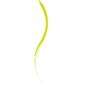 vertigopolefitness.cz favicon