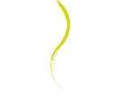 vertigopolefitness.cz logo