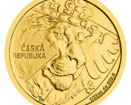 WP Web Stránka logo