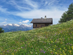 Veysonnaz Tourisme logo