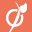 viadeo.com favicon