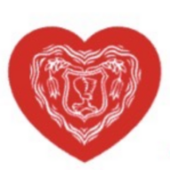 villacherkirchtag.at favicon