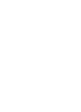 visa.bg favicon