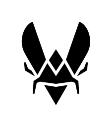 vitality.gg favicon
