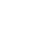 wackenhut.de favicon