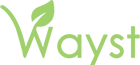 wayst.co.uk logo