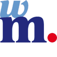 webmaster.com.mx favicon
