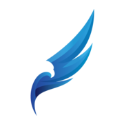 webwings.cz favicon