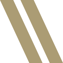weizenbaum-institut.de favicon