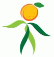 wildapricot.org logo